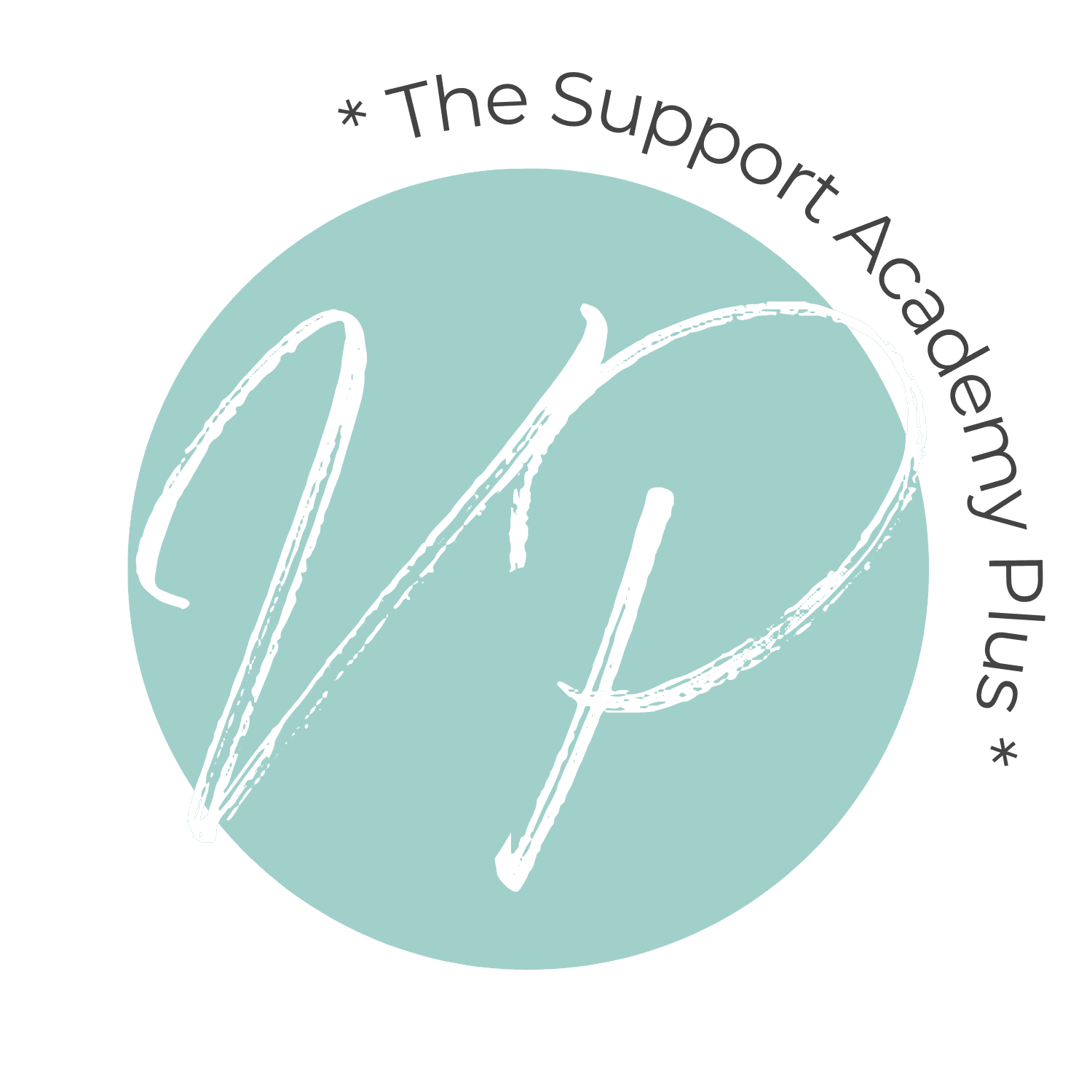 The Support Academy Plus The Support Academy Plus